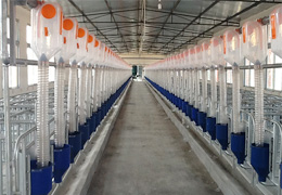 四川萬春機械推動了自動飼料線在西南地區養豬場的普及